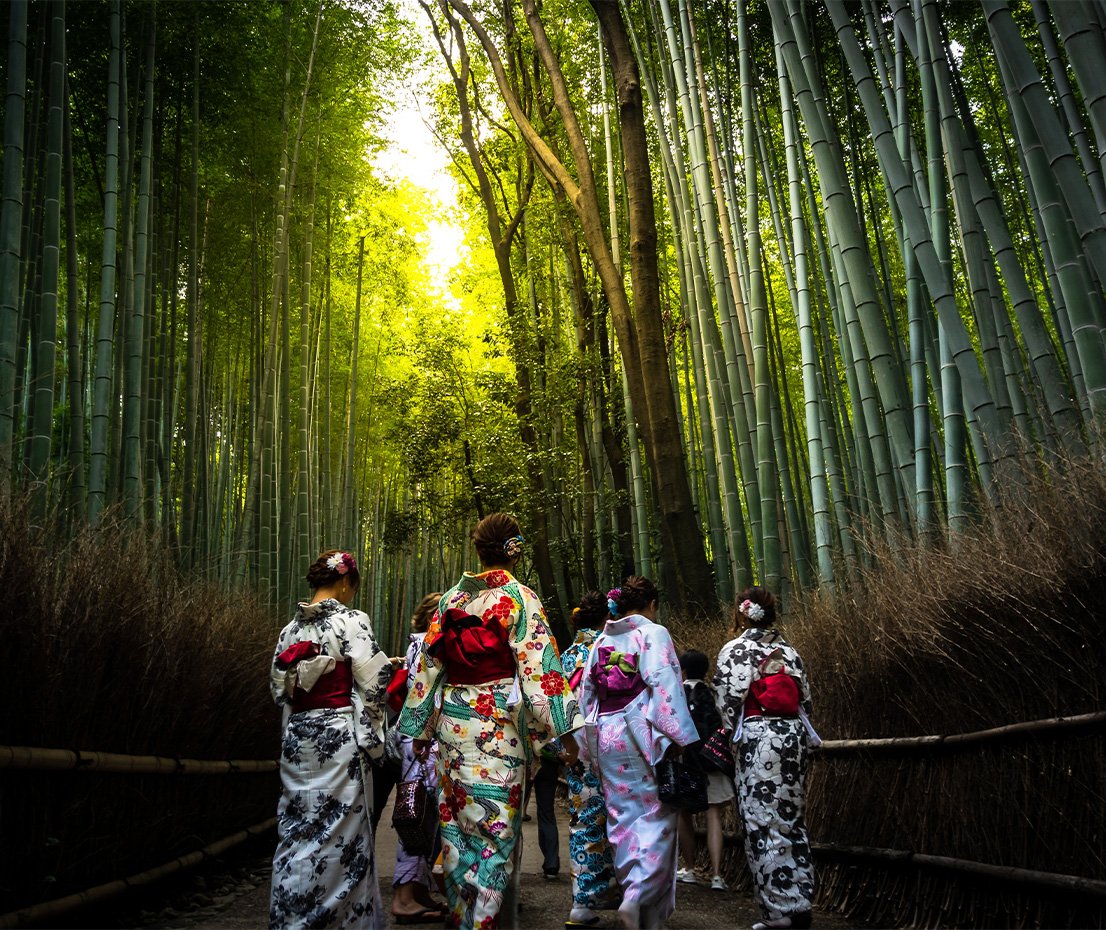 Day 8 Kyoto - Bamboo Forest with geishas